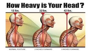 Got Shoulder Pain? Don't be surprised if your massage therapist starts  working on your neck., San Diego Massage Experts